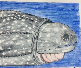 Larry the Leatherback